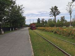 -永定河休闲森林公园