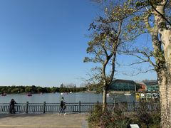 -上海长兴岛郊野公园