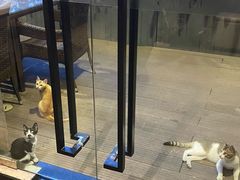-清迈泰·泰国餐厅(华发商都店)