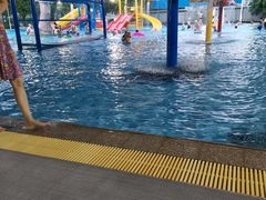 -福建省奥林匹克体育中心游泳馆