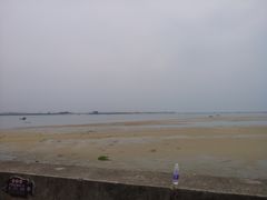 -北海金海湾红树林生态旅游区