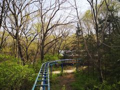 -黑龙江省森林植物园