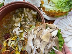 -菌海森林·非遗野生菌火锅(西山区滇池路摩根道店)