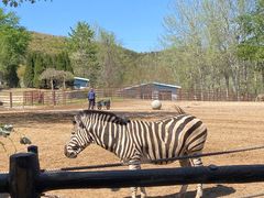 -大连森林动物园