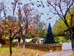 -Supine Bistro溯泮餐厅