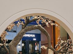 -不凡脑禅境·养生·舒压调理SPA(华发世纪城店)
