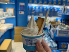 -国际通