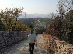 -原山国家森林公园