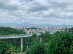-仙岳公园