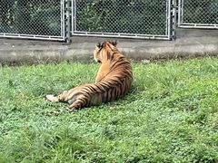 -西安秦岭野生动物园