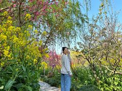-南汇桃花村