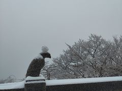 -海上云台山景区