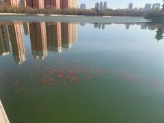 -迎泽公园