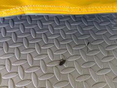 -天目湖涵田度假村