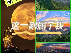 -南山植物园