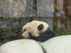 -香港海洋公园