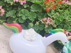 -Sweeney冰淇淋