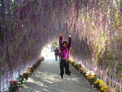 -苏州乐园森林水世界