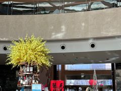 -Plush大堂酒廊(北京金融街威斯汀大酒店)