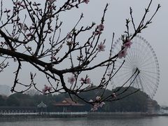 -无锡蠡湖国家湿地公园-蠡园