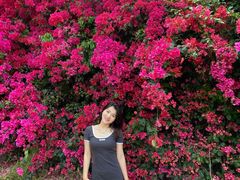 -厦门国家会计学院