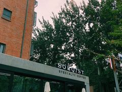 -Soloist 独奏公司(798店)