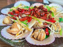 -鲁前海沿儿