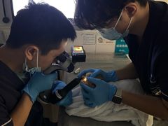 -宠物星动物医院·眼科·异宠·猫科(江南大道总院)