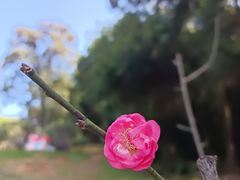 -广州市白云山风景名胜区