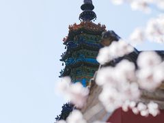 -颐和园
