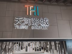 -汉阳天河电影城(王家湾店)