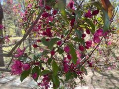 -元大都城垣遗址公园