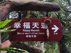 -呀诺达热带雨林