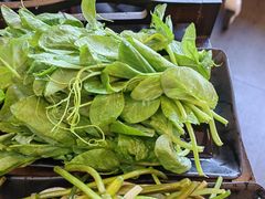 -大理.老字号渝记酸萝卜乌鱼(古城总店)