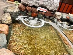 -蟹料理 北海道かに将軍(札幌本店)