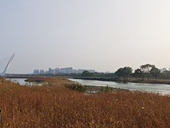 -永定河休闲森林公园