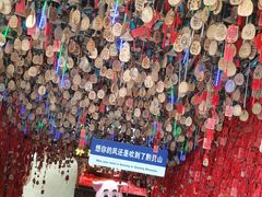 -黔灵山公园