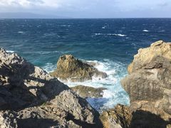 -龙坑生态保护区