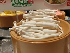 -龍歌自助小火锅(市北台东利群店)