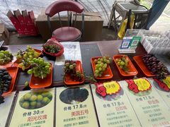 -马陆小张葡萄园农家乐