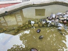 -红螺寺