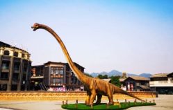 -恐龙探索乐园(磁器口店)