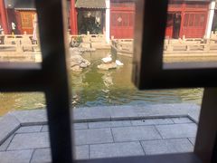 -祝家花園(伯渎港店)
