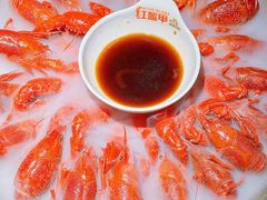 -红盔甲·小龙虾(定西路店)