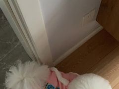 -申普宠物医院·眼科·心内科·影像科(普陀分院)