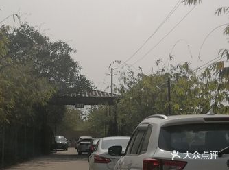 大年初八，打卡海傍水乡，这里是免费进园的，停车还算大