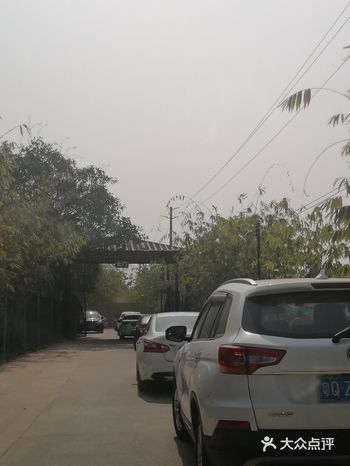 大年初八，打卡海傍水乡，这里是免费进园的，停车还算大