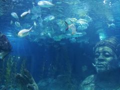 -暹罗海洋世界
