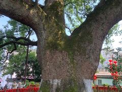 -新安江山水画廊风景区