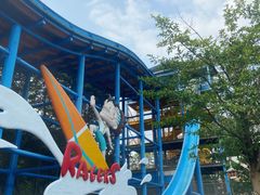 -重庆海昌加勒比海水世界